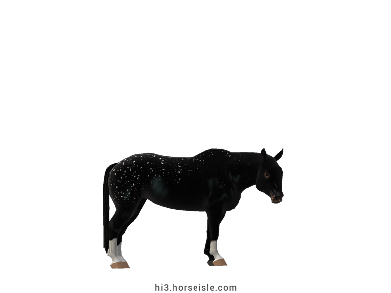 Cow-pony Omby Coal Black Snowflake Coat